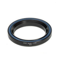 Enduro Bearings ACB 4545 1125 BO - ReEvolution
