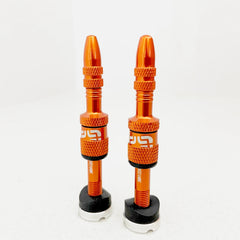 E13 Quickfill Tubeless Valves Gen2, 2 pieces - ReEvolution