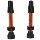 WTB TCS AL Tubeless Valves 46mm (2pcs) - ReEvolution